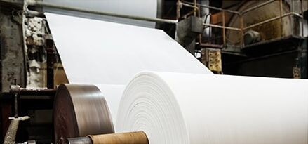 White paper roll machine